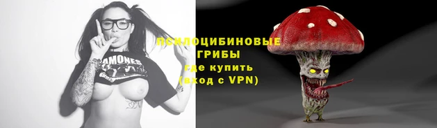 стафф Армянск