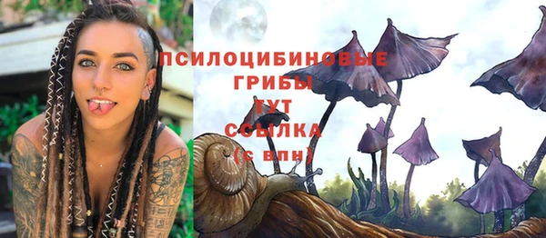 стафф Армянск