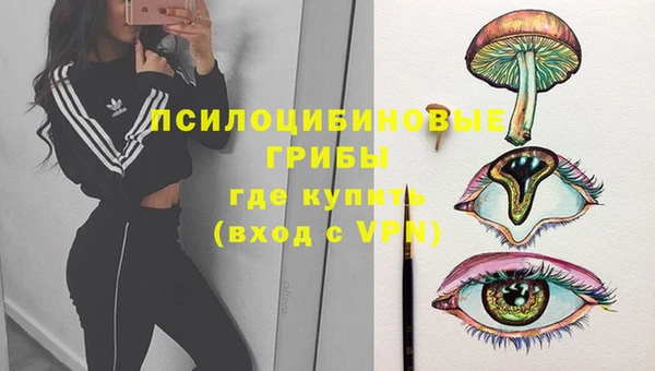 стафф Армянск